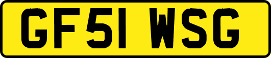 GF51WSG