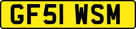 GF51WSM