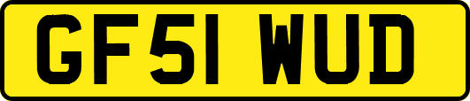 GF51WUD