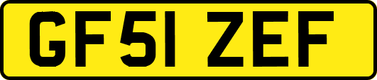 GF51ZEF