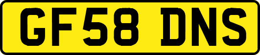 GF58DNS