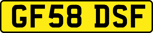 GF58DSF