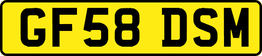 GF58DSM