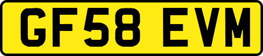 GF58EVM