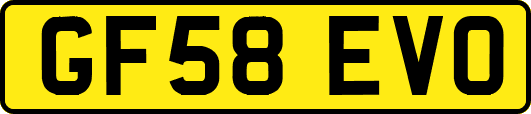 GF58EVO