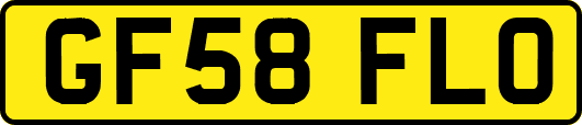 GF58FLO