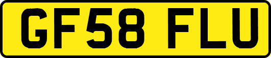 GF58FLU