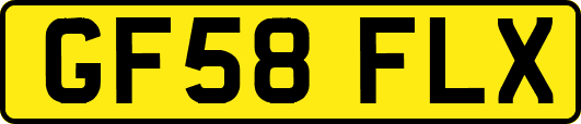 GF58FLX