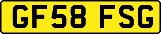 GF58FSG