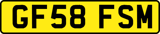 GF58FSM