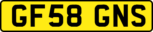 GF58GNS