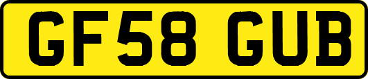 GF58GUB