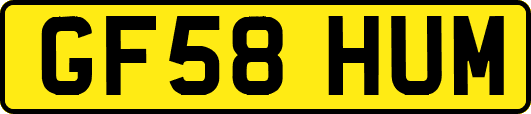 GF58HUM