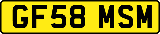 GF58MSM