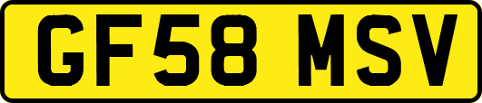 GF58MSV
