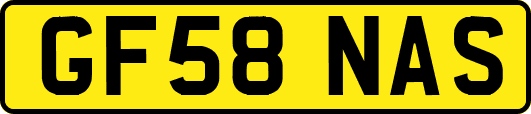 GF58NAS
