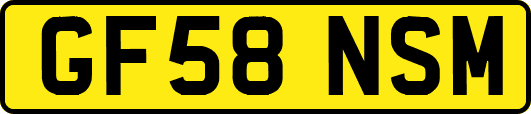 GF58NSM