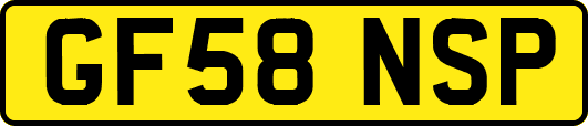 GF58NSP