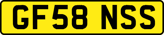 GF58NSS