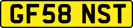 GF58NST