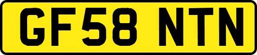 GF58NTN