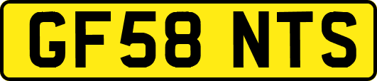 GF58NTS