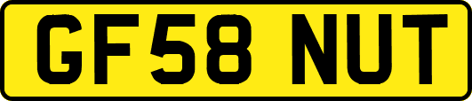 GF58NUT