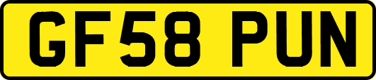 GF58PUN