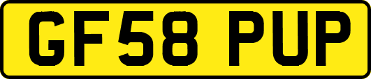 GF58PUP