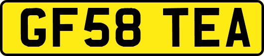 GF58TEA