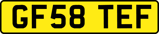GF58TEF