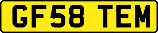 GF58TEM