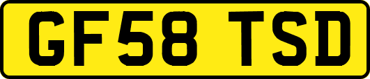 GF58TSD