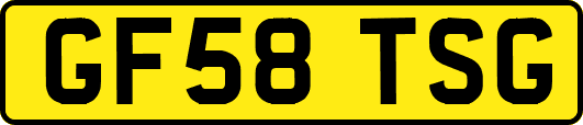 GF58TSG