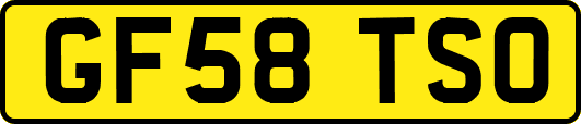 GF58TSO