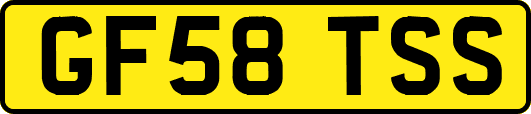 GF58TSS