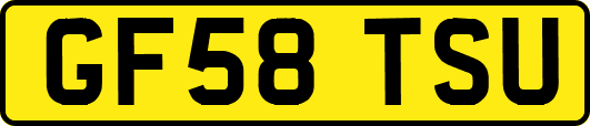 GF58TSU