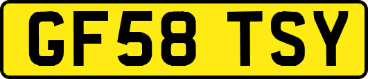 GF58TSY