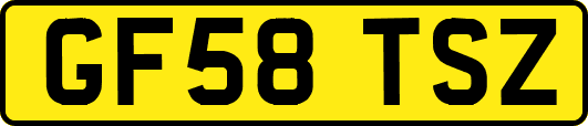 GF58TSZ