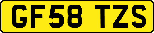GF58TZS