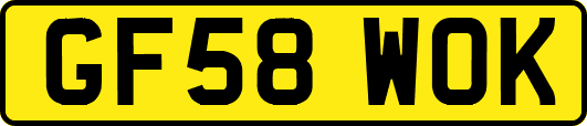 GF58WOK