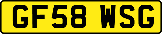 GF58WSG