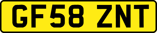 GF58ZNT