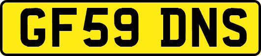 GF59DNS