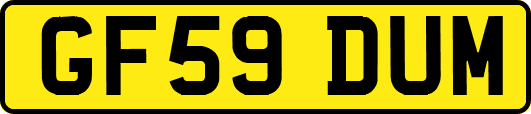 GF59DUM
