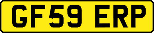 GF59ERP