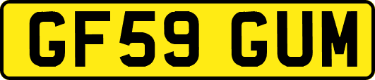 GF59GUM
