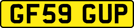 GF59GUP