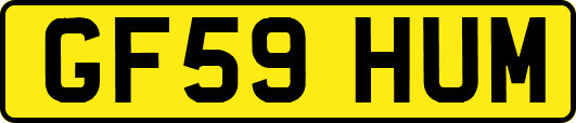 GF59HUM