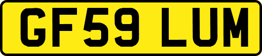 GF59LUM